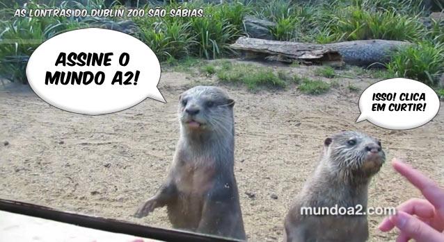 Pizzaria João do Grão